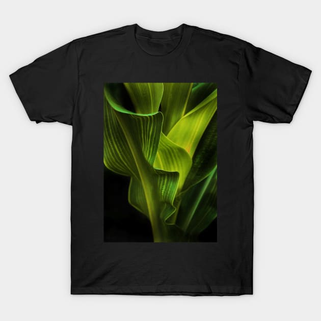 corn stalk T-Shirt by lastgasp